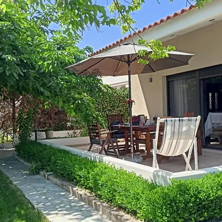 Melody Birds * Dikella