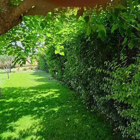 Melody Birds 度假居