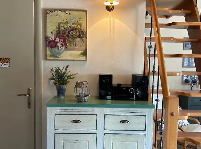 Melody Birds Dikella