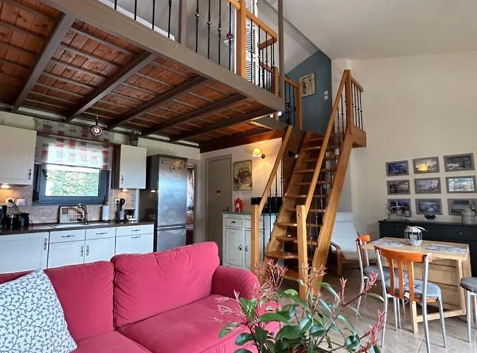 Melody Birds Dikella