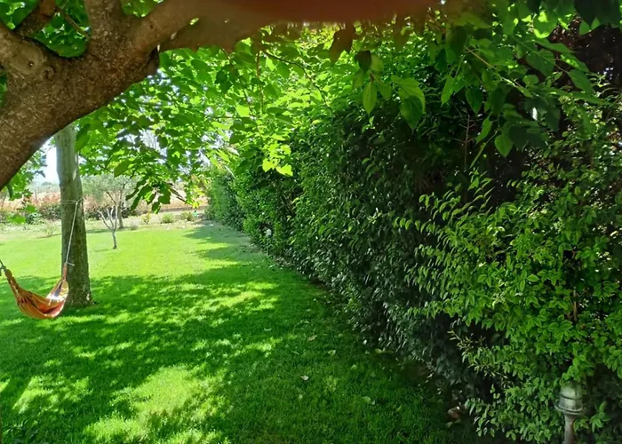 Melody Birds 度假居